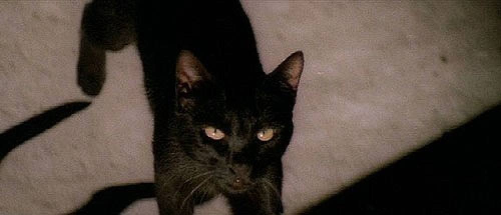 Lucio Fulci a zseni!