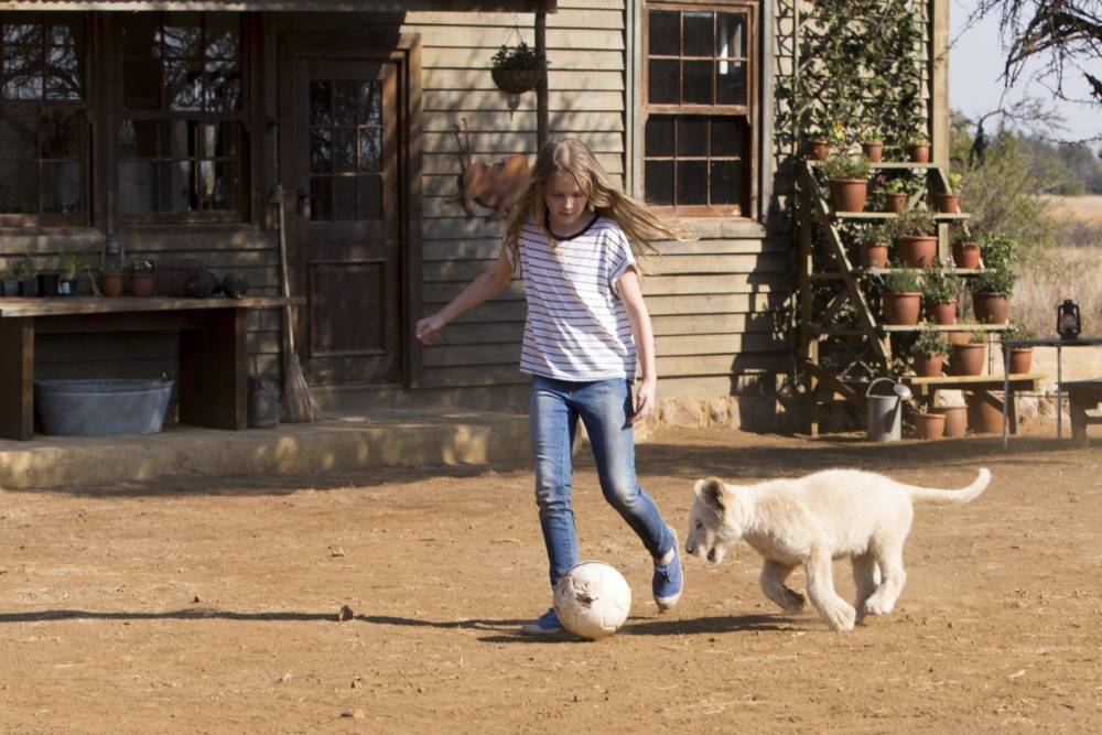 Az ilyen igényes családi film ritka, mint a fehér oroszlán