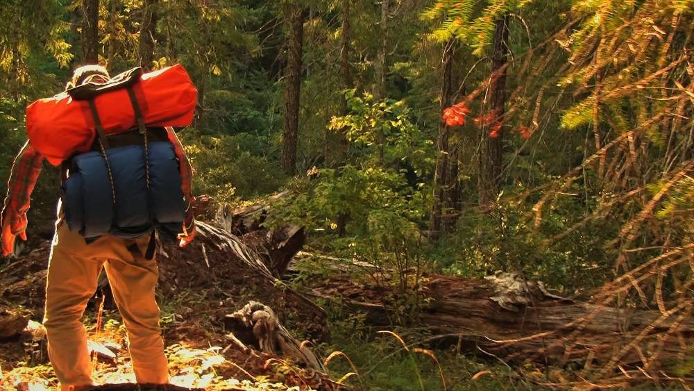 Bigfoot nyomában 