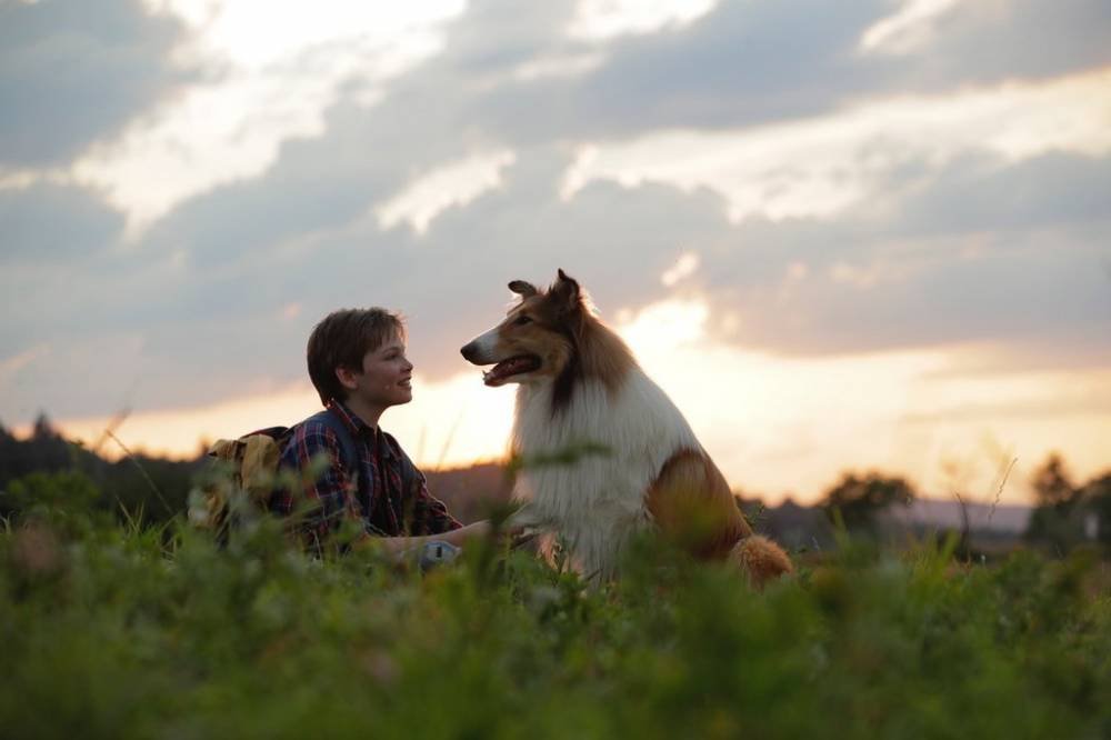 Lassie - Ein neues Abenteuer (2023) - IMDb