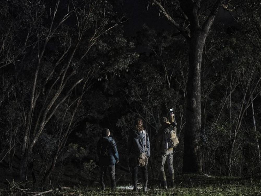 Az eddigi leggyengébb ausztrál horrorfilm 