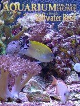 Aquarium for Your Home: Saltwater Reef