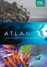 Az Atlanti-óceán: A Föld legvadabb óceánja