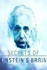 Einstein - Das Gehirn hinter dem Genie