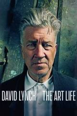 David Lynch: A m#&369vészélet