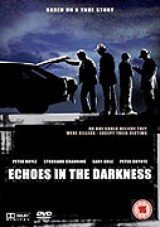 Echoes in the Darkness