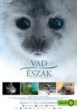 Vad Észak - Mese az ezer tó országából