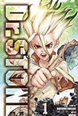 Dr. Stone