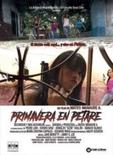 Poszter