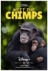 Csimpánz menedék / Csimpánzok: Élet a rezervátumban
