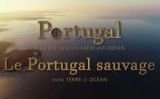 Portugália vadvilága szárazföld és óceán között