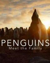 Pingvinek: Megismerkedés a családdal (Pingvinék)