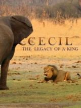 Cecil: Egy király öröksége