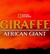 Afrika hosszú nyakú óriásai