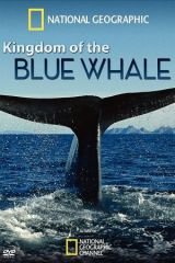 A kék bálnák királysága
