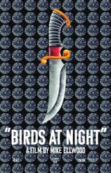 Birds at Night