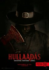 Hullaadás