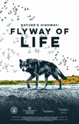 Flyway of Life
