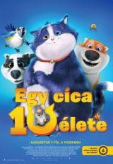 Egy cica 10 élete