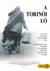 A torinói ló