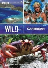 Karib-tenger, karibi világ