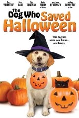 A kutya, aki megmentette a Halloweent
