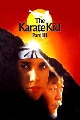 Karate kölyök 3.