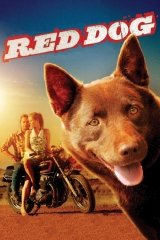 Vörös kutya