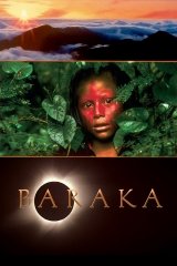 TOP 10 spirituális film