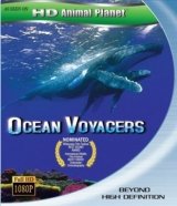 Ocean Voyagers