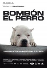 Bonbon a kutya
