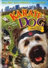 Karate kutya