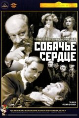 Kutyaszív