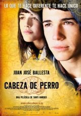Poszter
