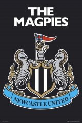 Newcastle United Season Review 2011-2012
