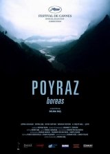 Poszter