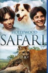 Hollywood szafari