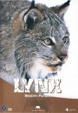 Safari: Lynx