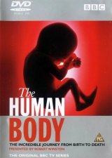 Az emberi test