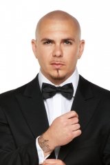 Pitbull