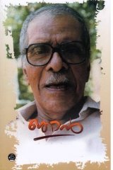 N.N. Pillai