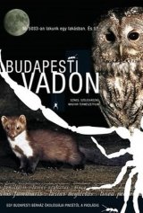 Nagyvárosi vadon (Budapesti vadon)