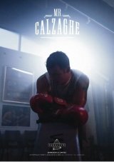 Mr Calzaghe