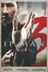 Ip Man: A védelmező