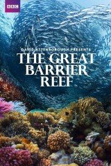 David Attenborough: A Nagy-korallzátony
