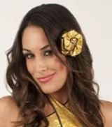 Brie Bella