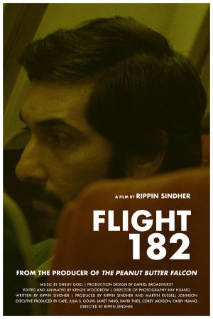 Poszter: Flight 182