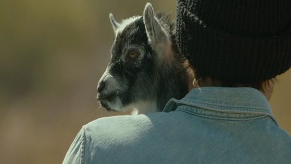 Goats / Filmkép