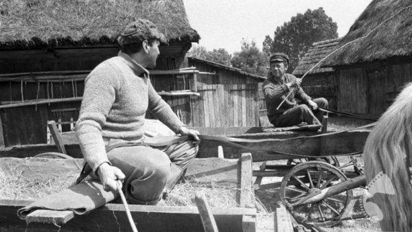 Nimfa a lápvilágban / Filmkép