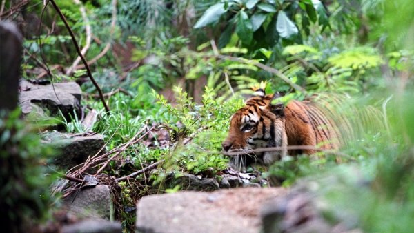 Két testvér / Filmkép